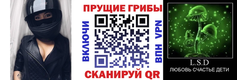 Галлюциногенные грибы прущие грибы Электросталь
