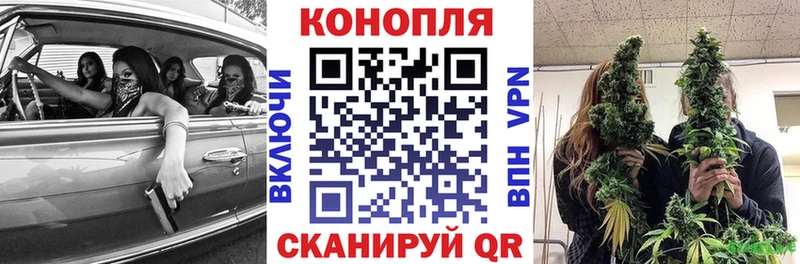 купить сайты Электросталь Каннабис ГИДРОПОН